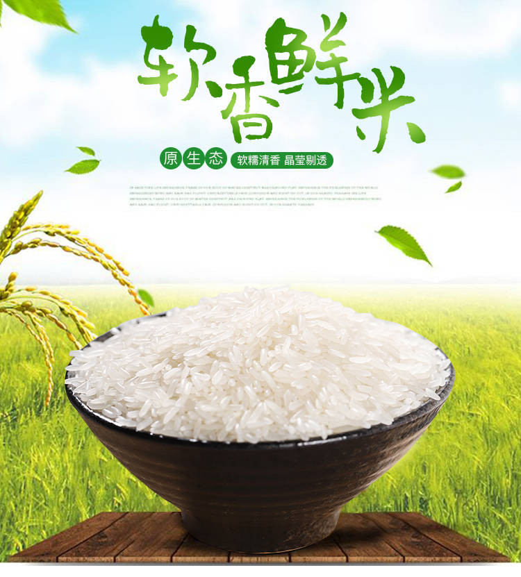 【第2件半价】高品质泉水大米当季自产长粒香贡米不抛光丝苗米【博莱生活馆】