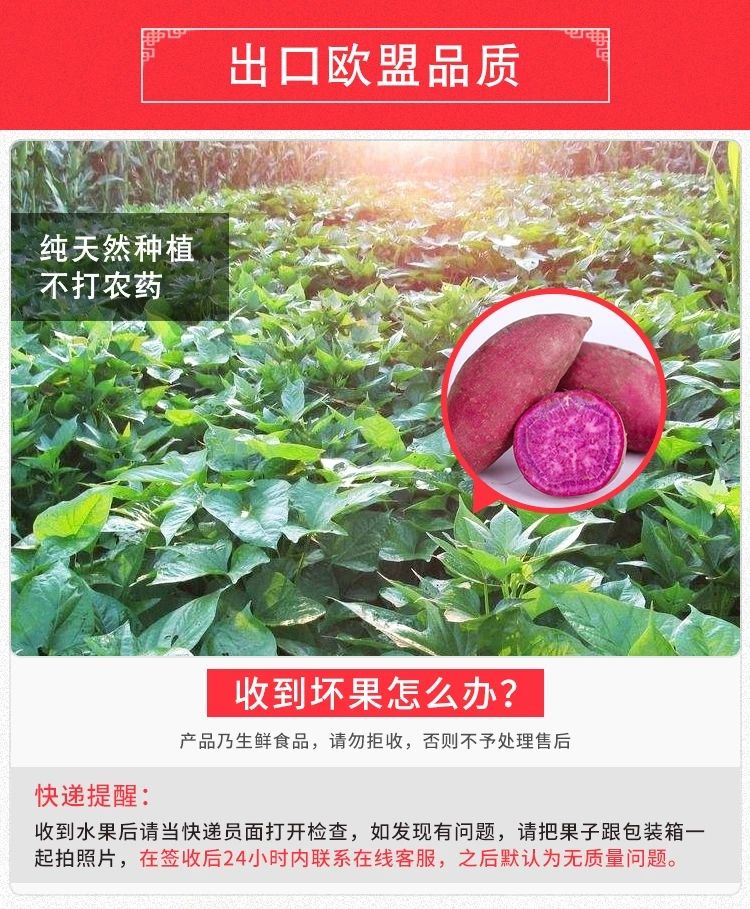 广东湛江特产番薯紫薯西瓜红薯 现挖现发 简装/礼盒装【博莱生活馆】