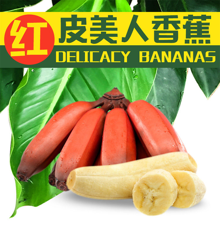 【现摘现发】福建土楼美人蕉5斤香蕉水果新鲜红皮香蕉批发红香蕉【博莱生活馆】