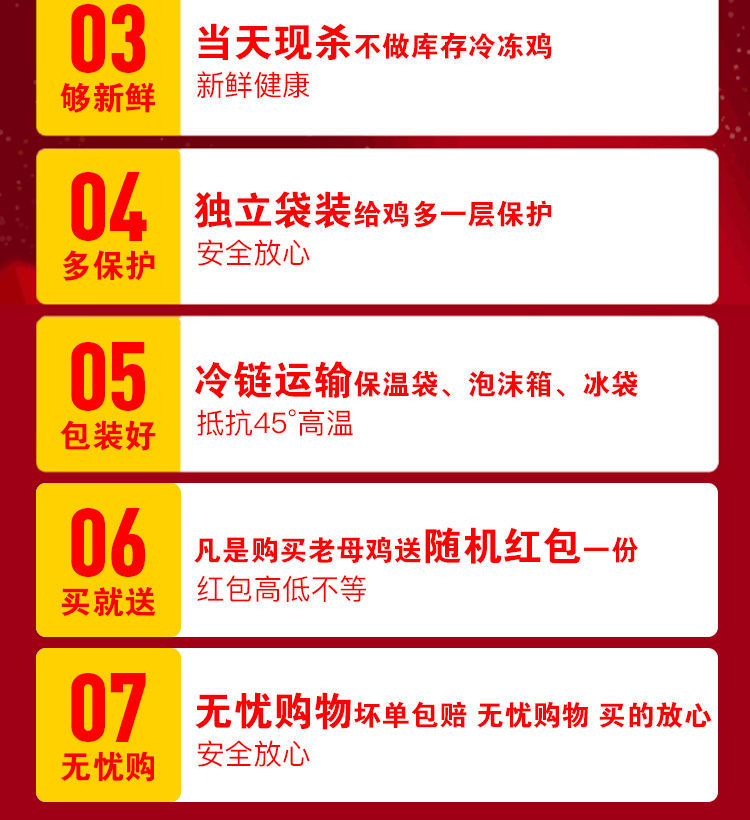 正宗2年老母鸡散养土鸡柴鸡草鸡月子鸡笨鸡走地鸡【净重2.5-3斤】博莱农场