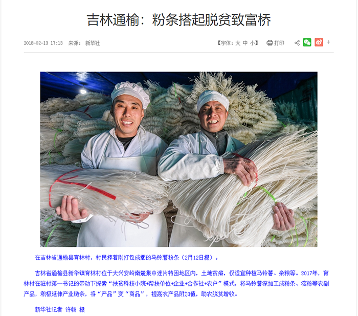 吉林省通榆县 特产向海泥湾土豆粉条1.5kg/箱 精选优质东北马铃薯制作