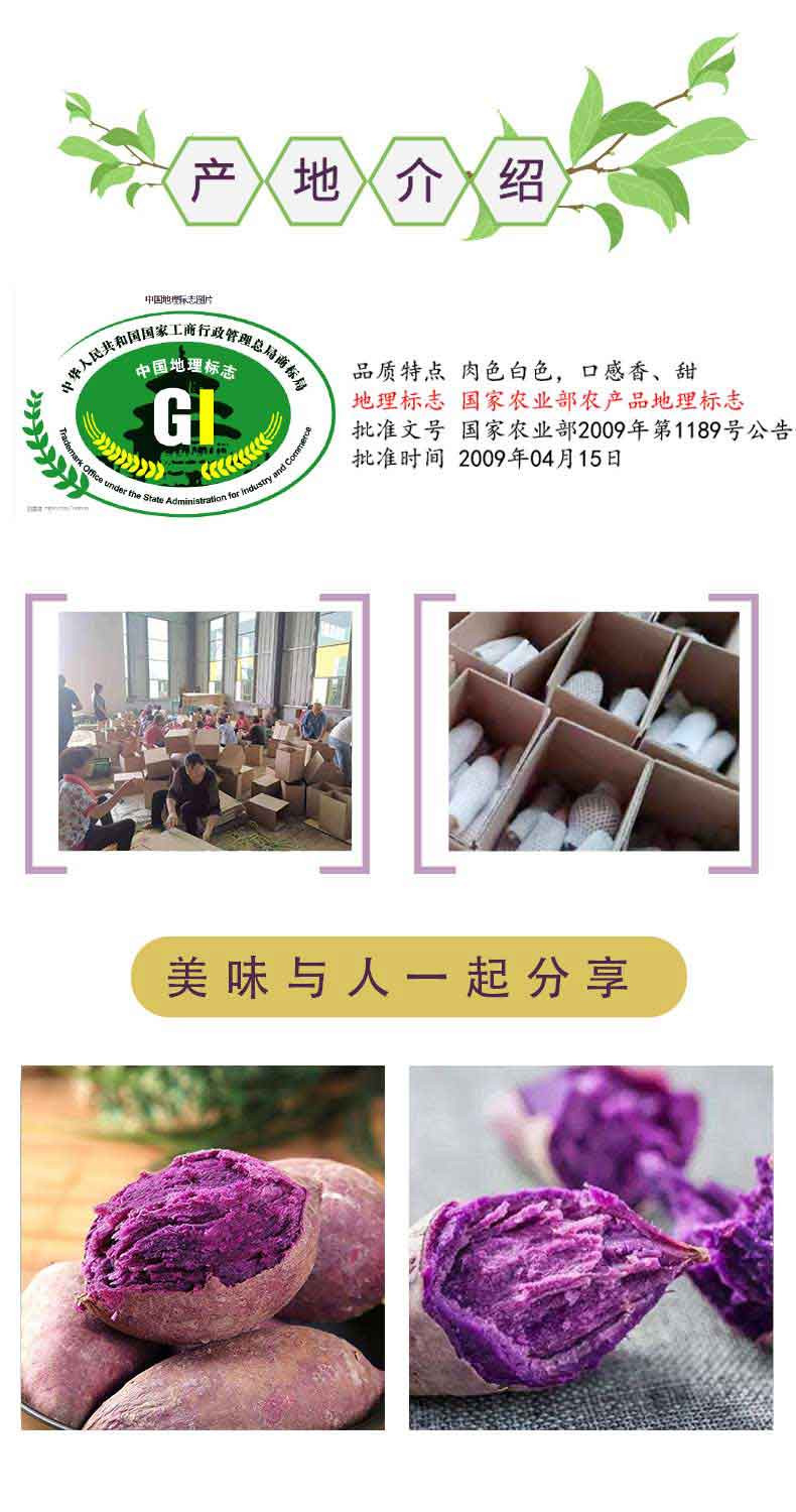 【48小时发货】10斤精品紫薯 净重9斤左右 香甜软糯 营养健康 代餐红薯 地瓜