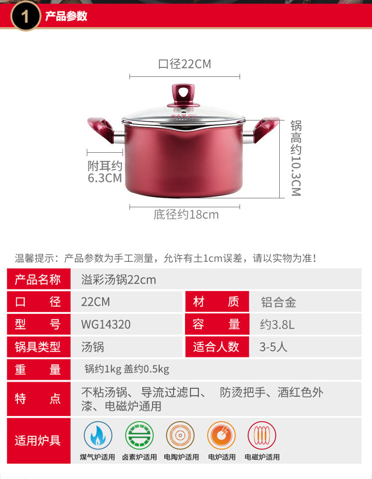  炊大皇 汤锅 不粘锅22cm炖汤煲汤煮奶锅