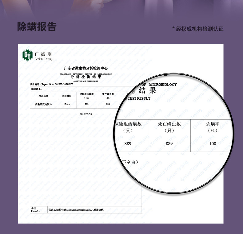  大宇(DAEWOO)  手持挂烫机熨烫机家用小型蒸汽熨斗