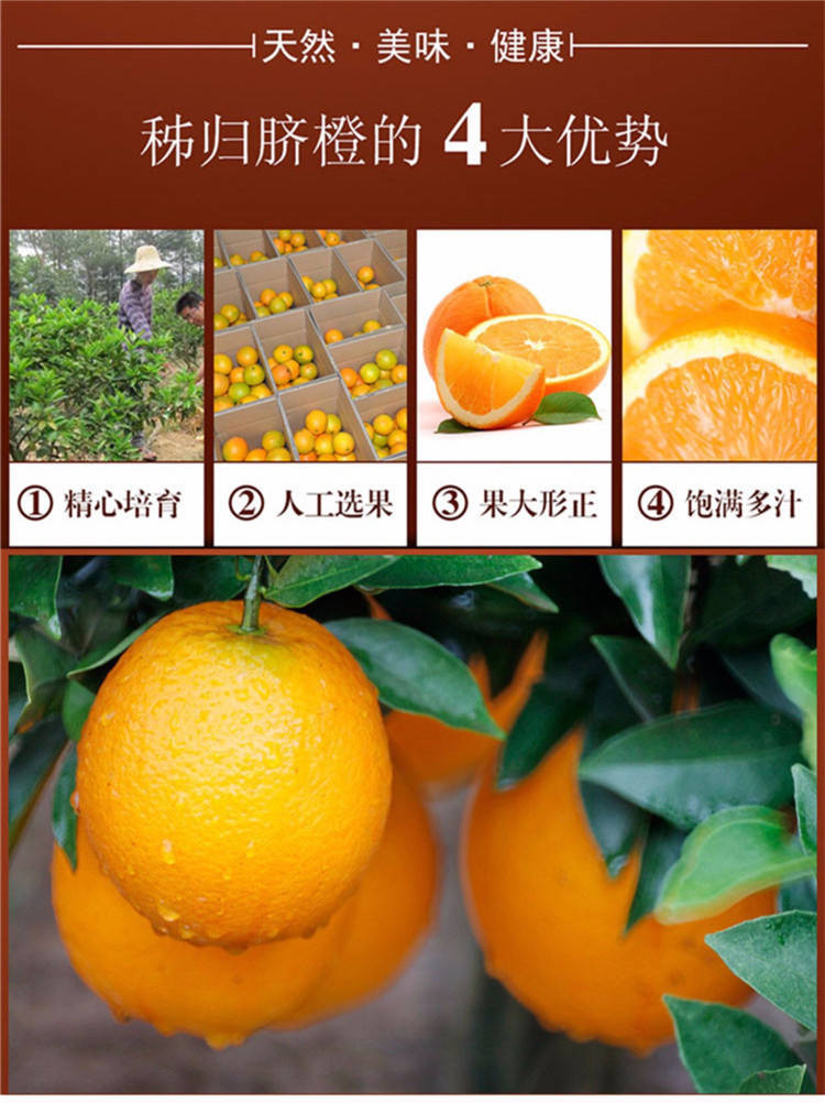 8】秭归脐橙精选大果脐橙新鲜水果橙子甜橙橘子【绿野人家拼团】