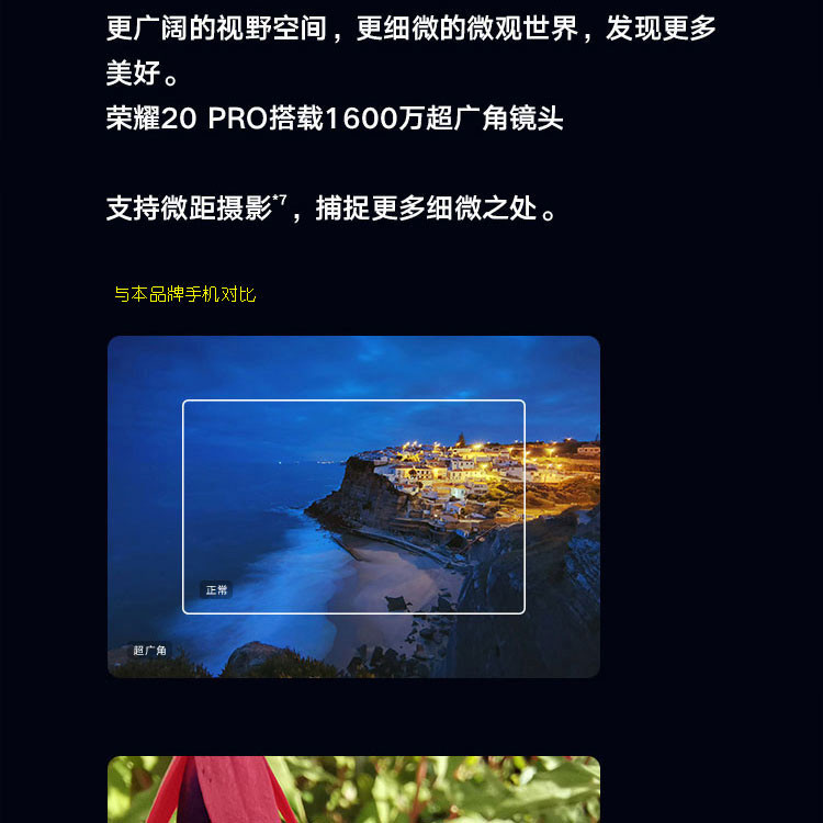  荣耀20 PRO 4800万全焦段AI四摄  麒麟980 8GB+256GB全网通4G 手机