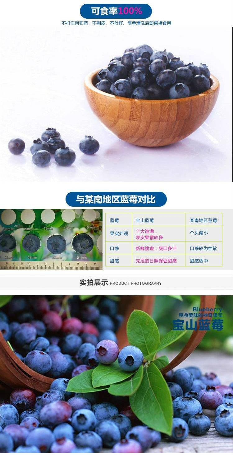 【蓝莓采摘】青岛宝山蓝莓园采摘！