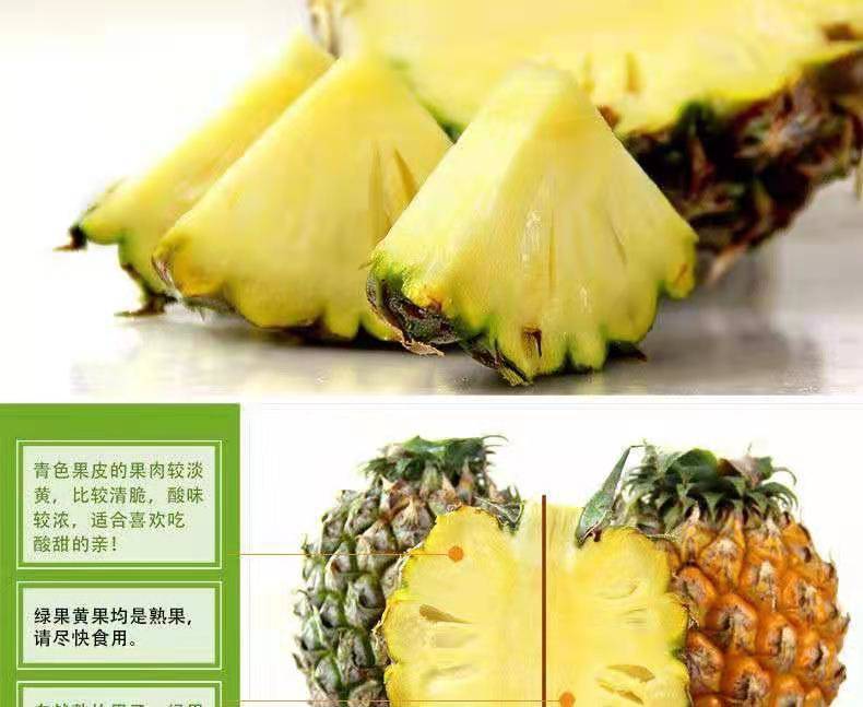 【10斤特.价】越南大菠萝新鲜大果凤梨小菠萝水果
