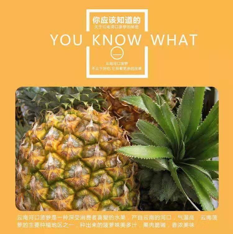 【10斤特.价】越南大菠萝新鲜大果凤梨小菠萝水果