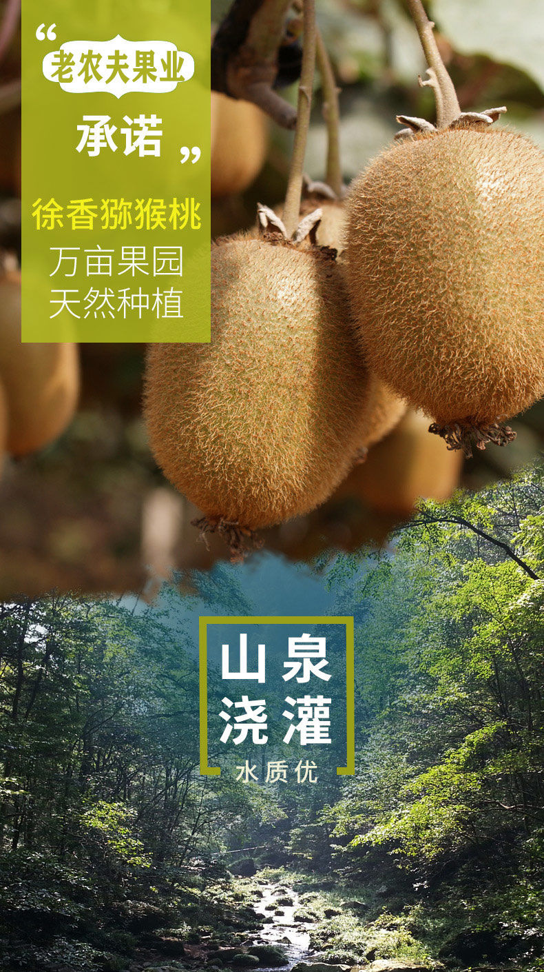 陕西眉县猕猴桃应季新鲜水果绿色心2斤5斤10斤奇异果泥猴桃现货弥