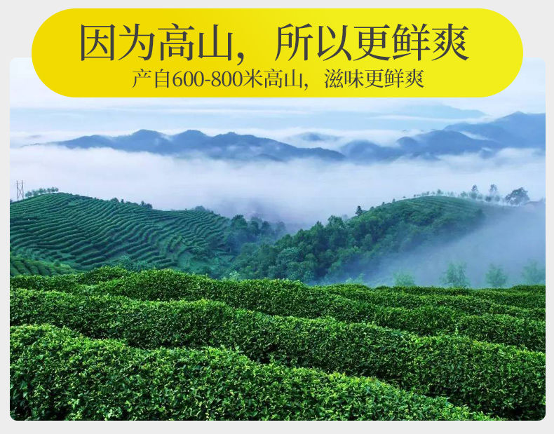 茶叶绿茶浓香型碧螺春茶叶2020新茶叶高山云雾茶雨前春茶明前春茶125g250g500g