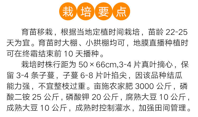 羊角蜜甜瓜种子羊角酥甜瓜种籽香瓜子密正品四季春季水果蔬菜种子