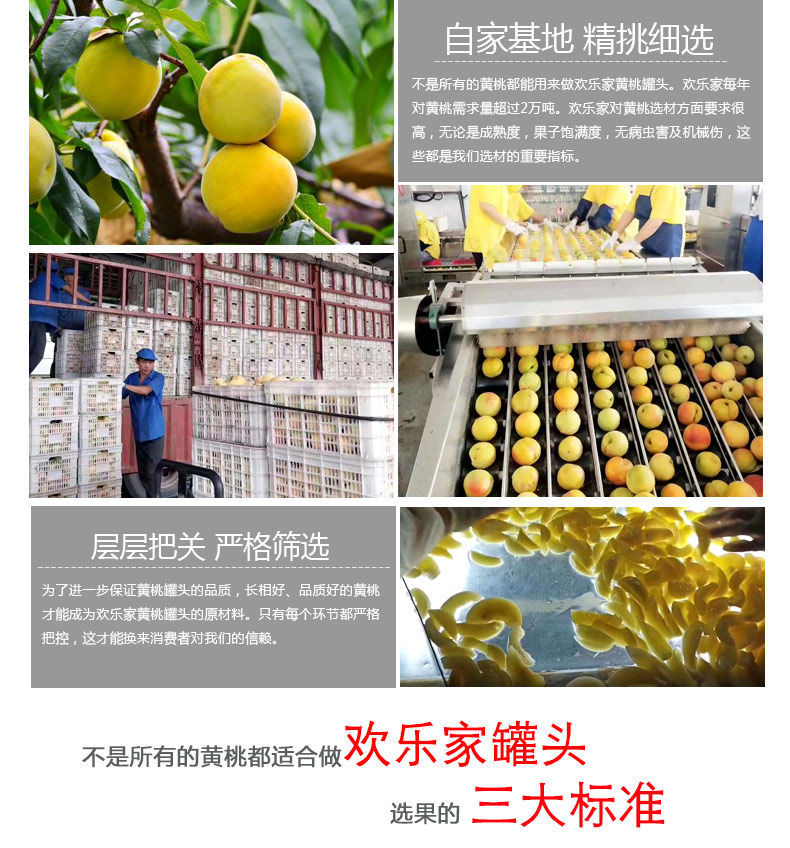 官方正品欢乐家黄桃罐头256X4罐新鲜水果罐头玻璃瓶装整箱