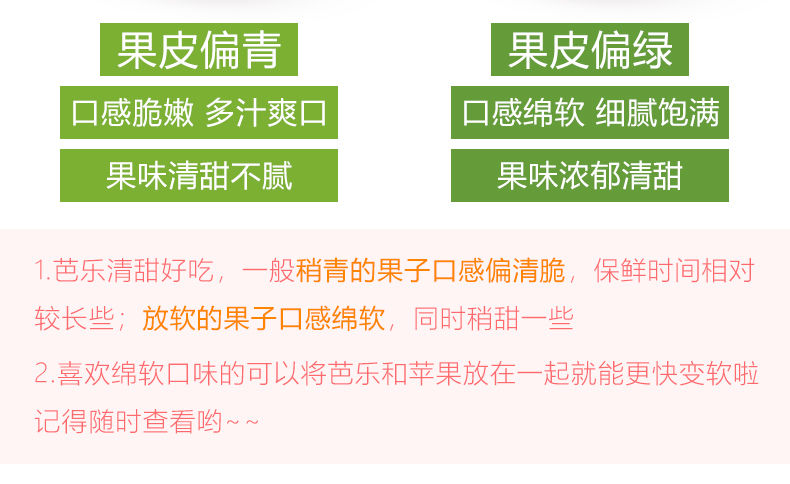 【坏果包赔】广西应季新鲜红心白心芭乐番石榴(2斤5斤8斤)150克起