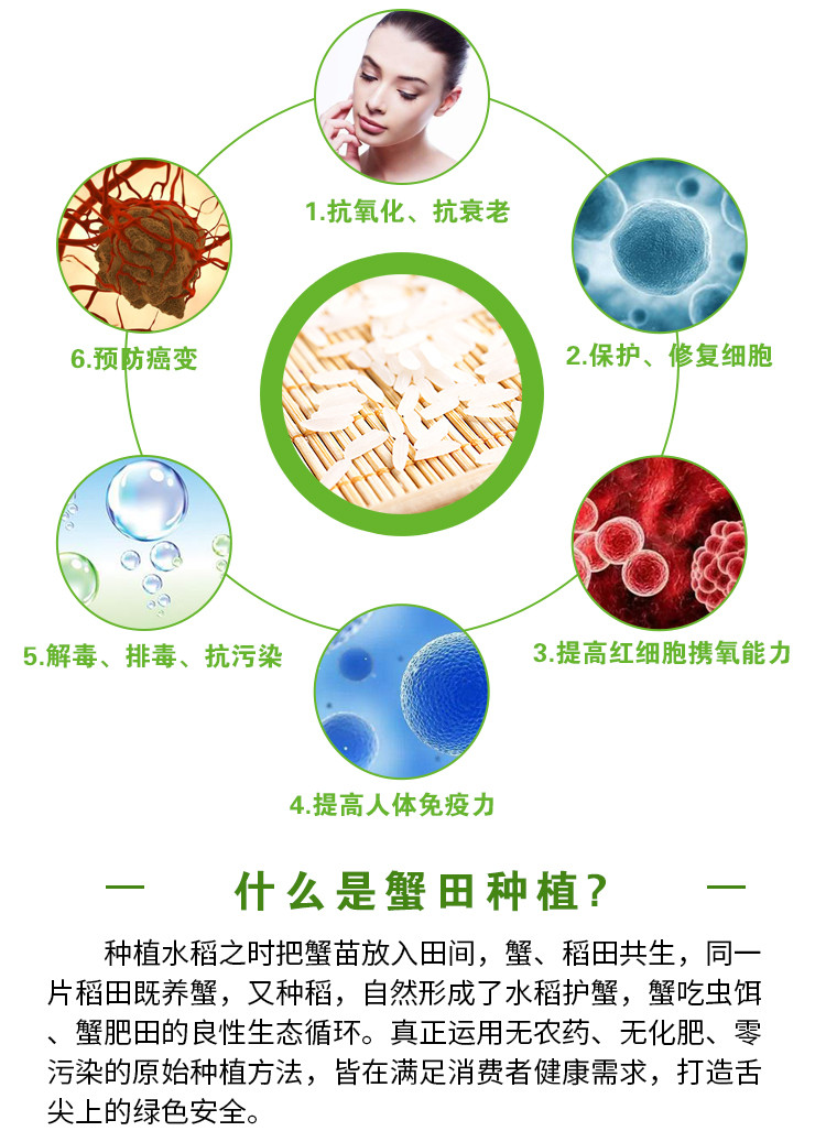 【盘锦馆】盘锦蟹田富硒胚芽米 辽宁东北大米 蟹稻共生农家自产碱地新米5公斤10斤