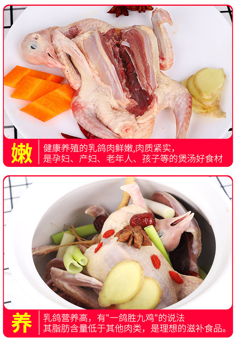 【48小时发货】农家谷饲乳鸽2只/3只 鸽子 谷饲喂养 营养美味 活鸽现杀  冷链急速发货 新鲜直达