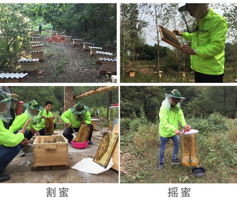 【谷城】蕊得 土蜂蜜 500g/瓶