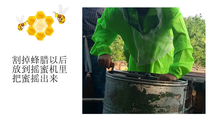 【谷城】蕊得 洋槐蜂蜜 500g/瓶