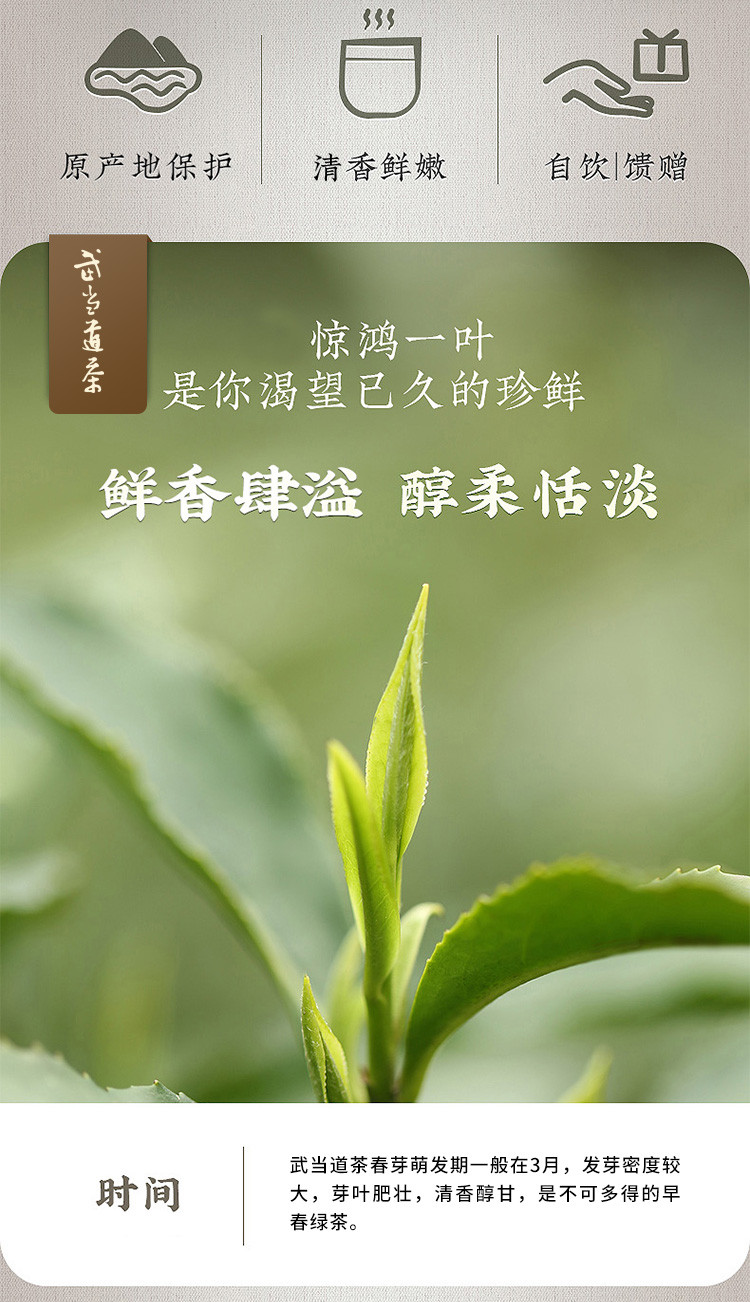 【问玄】武当道茶 袋泡装 100g