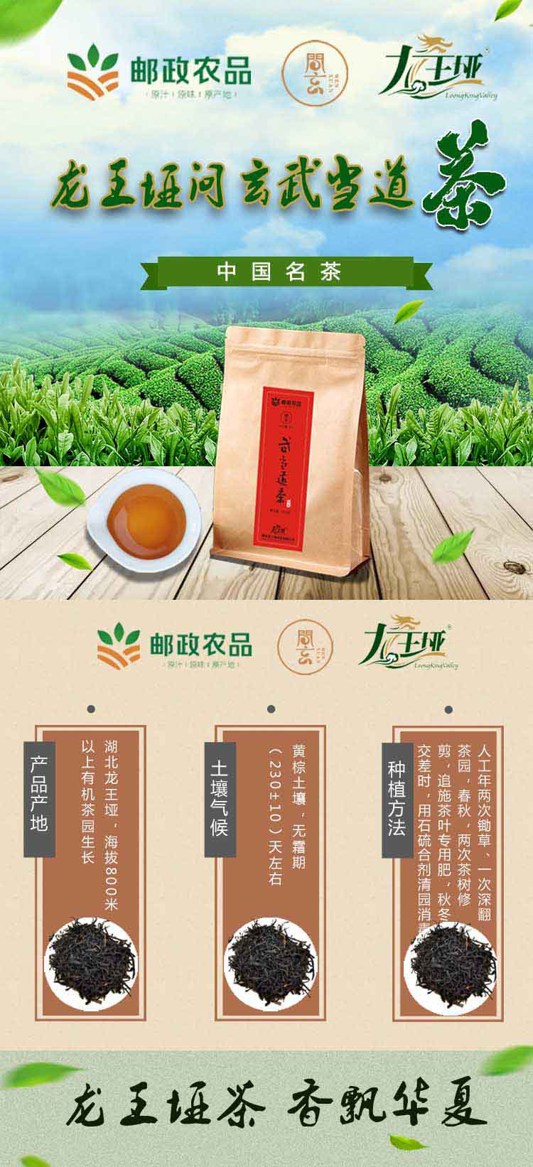 【龙王垭】问玄武当道茶（红茶） 高山有机茶 250克/袋