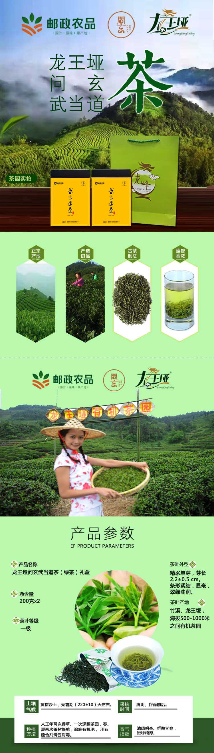 【龙王垭】问玄武当道茶（绿茶）礼盒  高山有机茶  200克/*2