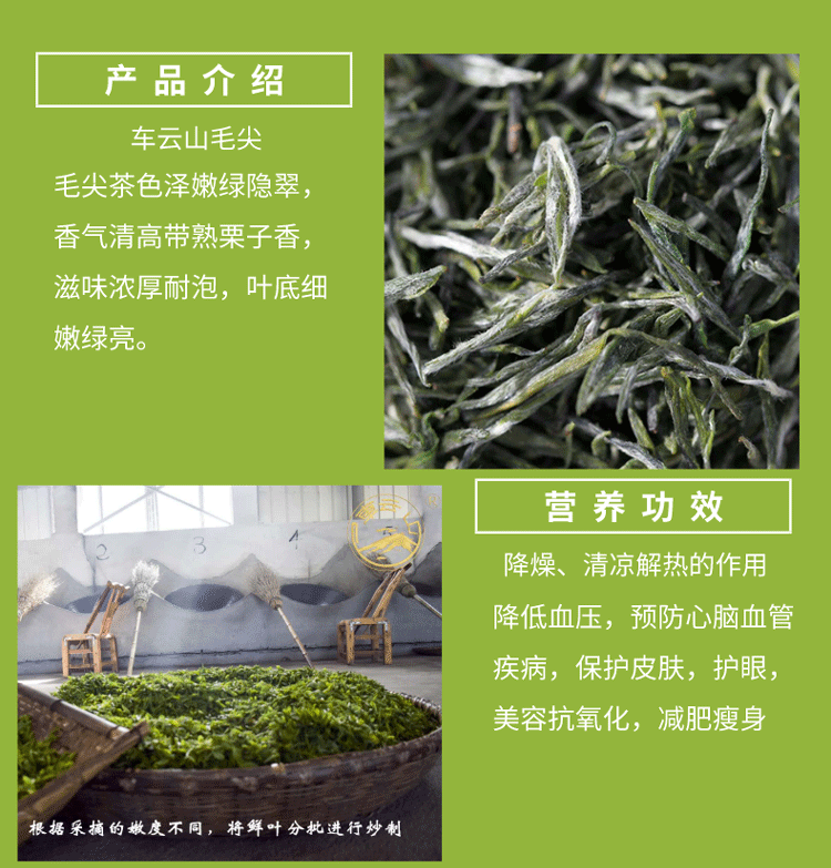 【问玄】鄂豫峰车云山茶·一级毛尖罐装100g