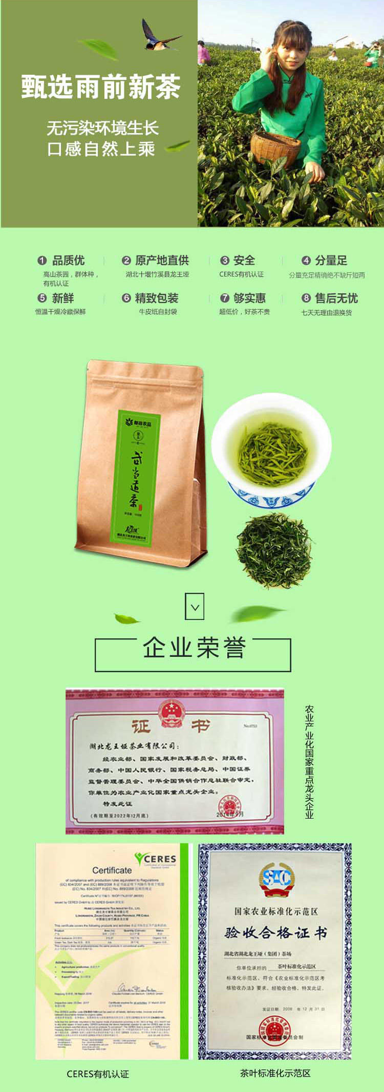 【龙王垭】问玄武当道茶（绿茶）高山有机茶  100克/袋