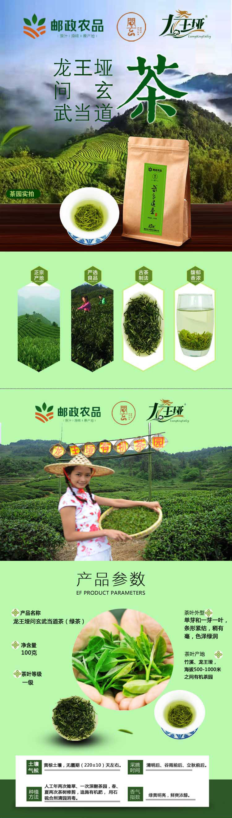 【龙王垭】问玄武当道茶（绿茶）高山有机茶  100克/袋