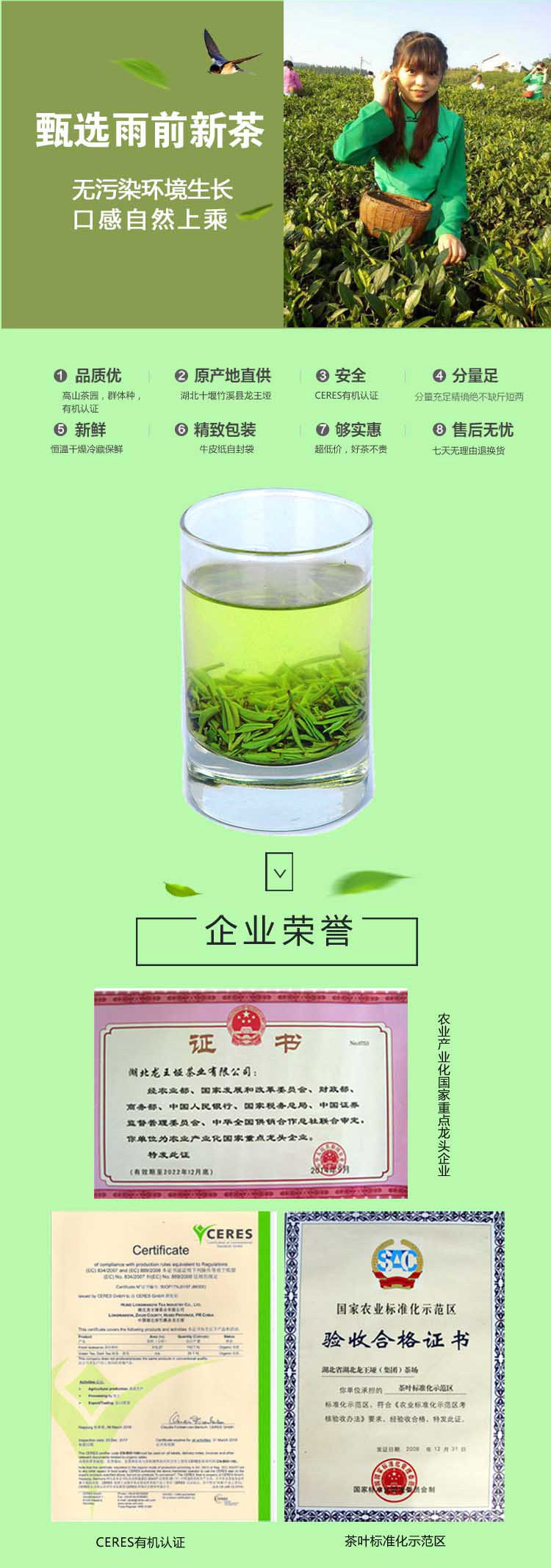 【龙王垭】问玄武当道茶（绿茶）礼盒  高山有机茶  200克/*2