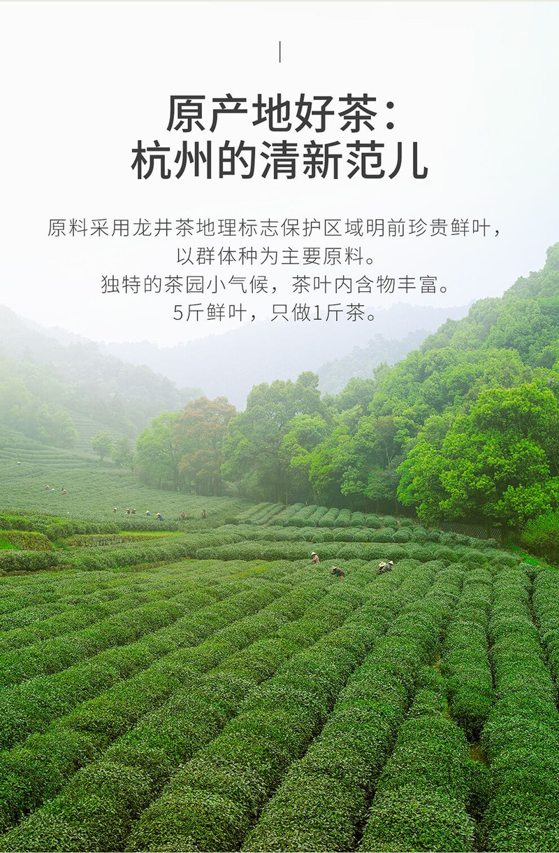 小罐茶 龙井茶50g多泡装实惠多多