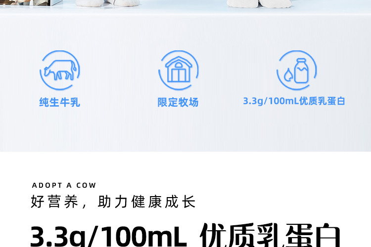 认养一头牛  纯牛奶250ml*12利乐砖包装