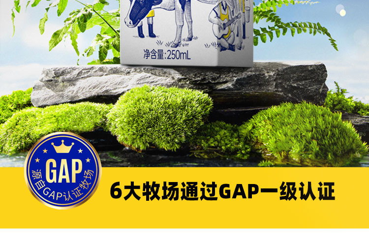 认养一头牛  3.6g蛋白纯牛奶250ml*12盒利乐砖包装