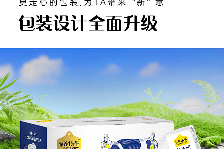 认养一头牛  3.6g蛋白纯牛奶250ml*12盒利乐砖包装