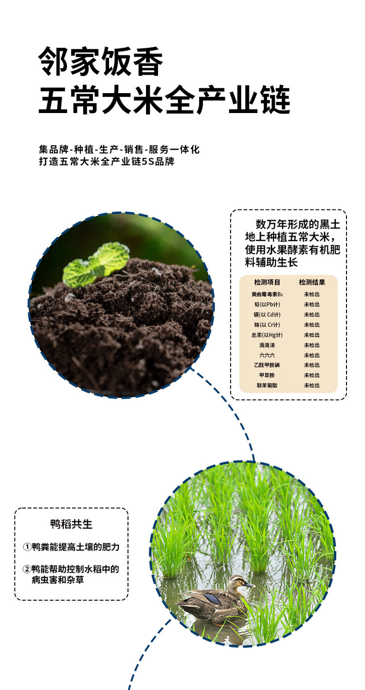 邻家饭香  龙年纪念款五常大米 5kg/袋 真空双层包装