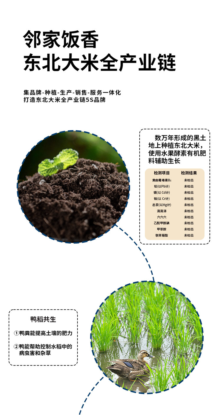 邻家饭香 凤凰来仪款东北大米 5kg/袋 真空双层包装