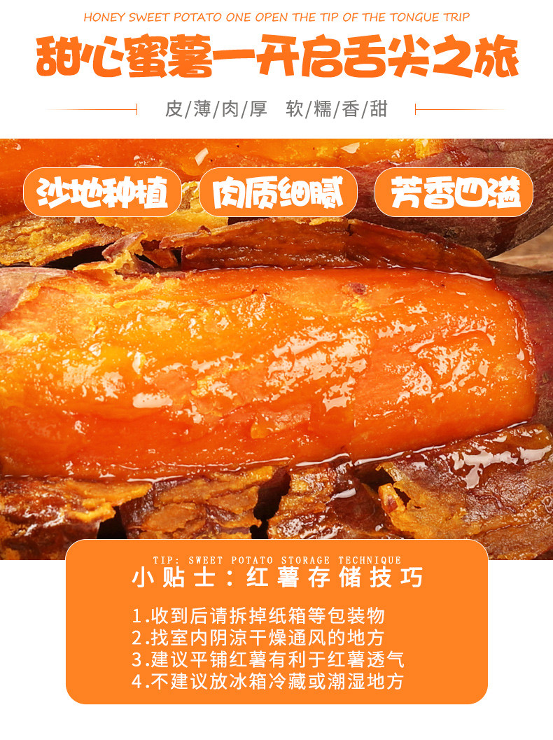 苏合秾园 滨海烟薯   蜜薯  5斤