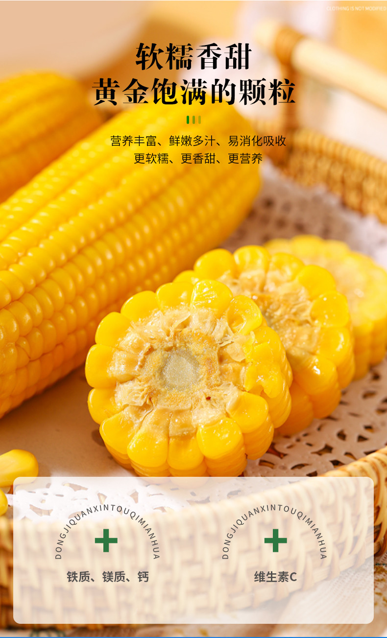嘎达牙儿 噶哒牙鲜食玉米玉米10支（糯九）