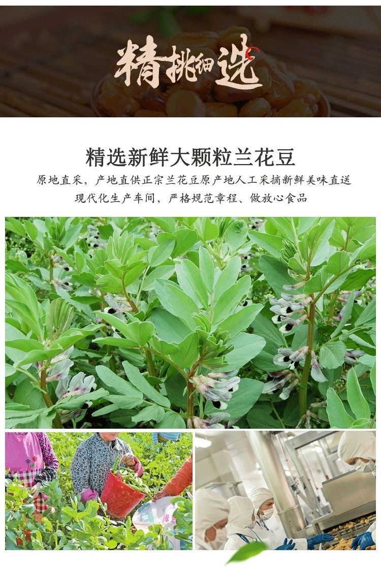 兰花豆蚕豆小包装休闲零食批发坚果炒货网红小吃200g-1000g可选