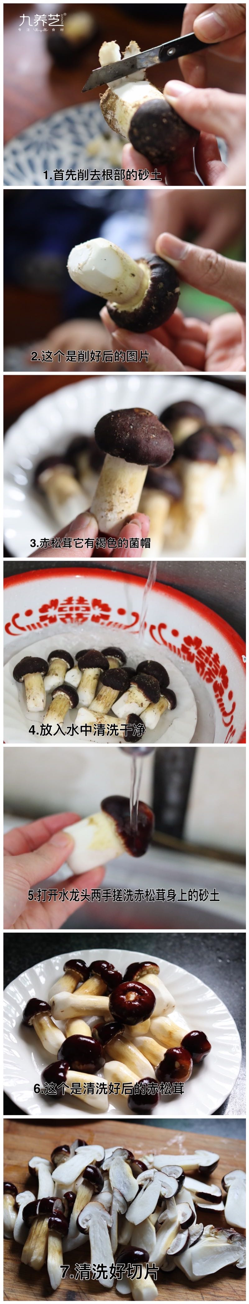 九养芝 新鲜现摘赤松茸姬2斤 九养芝 赤松茸 鲜蘑菇煲汤火锅菌菇包