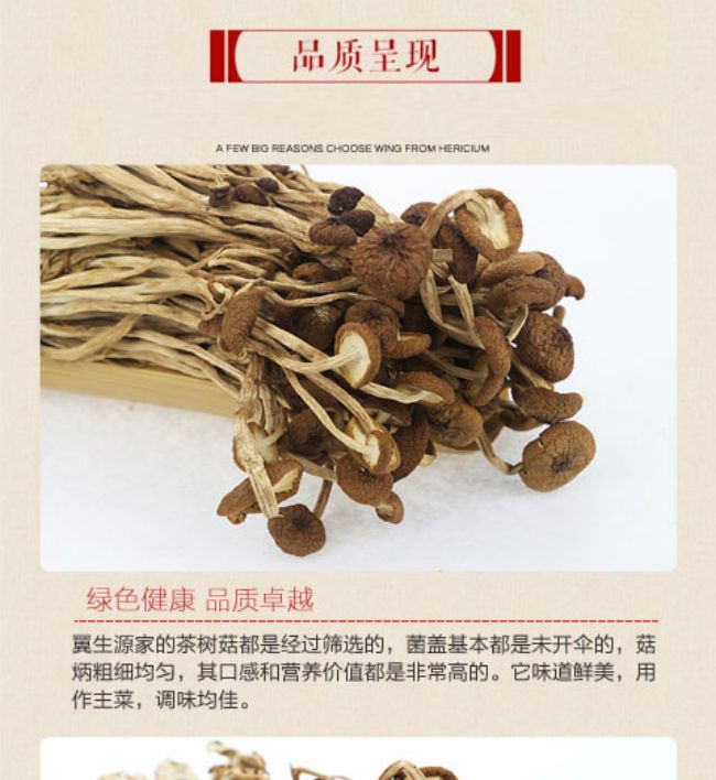 九养芝 不开伞茶树菇250g