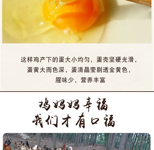  【鸡蛋】正宗农家散养土鸡蛋新鲜柴鸡蛋草鸡蛋笨鸡蛋【大牛美食】