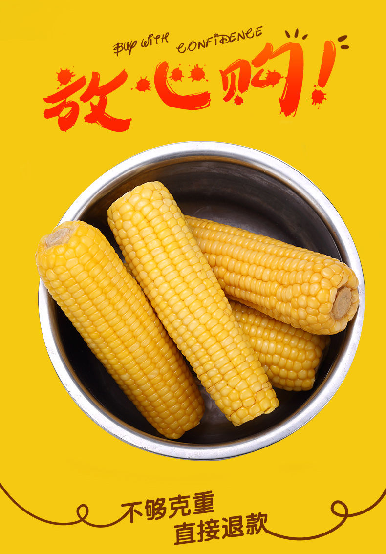【9斤装】新鲜水果玉米粗粮山西特产水果玉米棒【大牛美食】