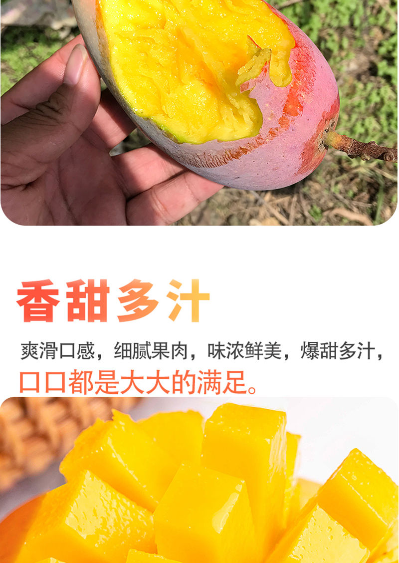 【5斤装】海南贵妃芒果当季应季水果红金龙新鲜现摘芒果整箱批发【大牛美食】