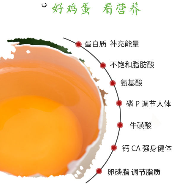  【40枚】鸡蛋农家散养柴鸡蛋山上散养笨鸡蛋新鲜草土鸡蛋批发整箱【大牛美食】