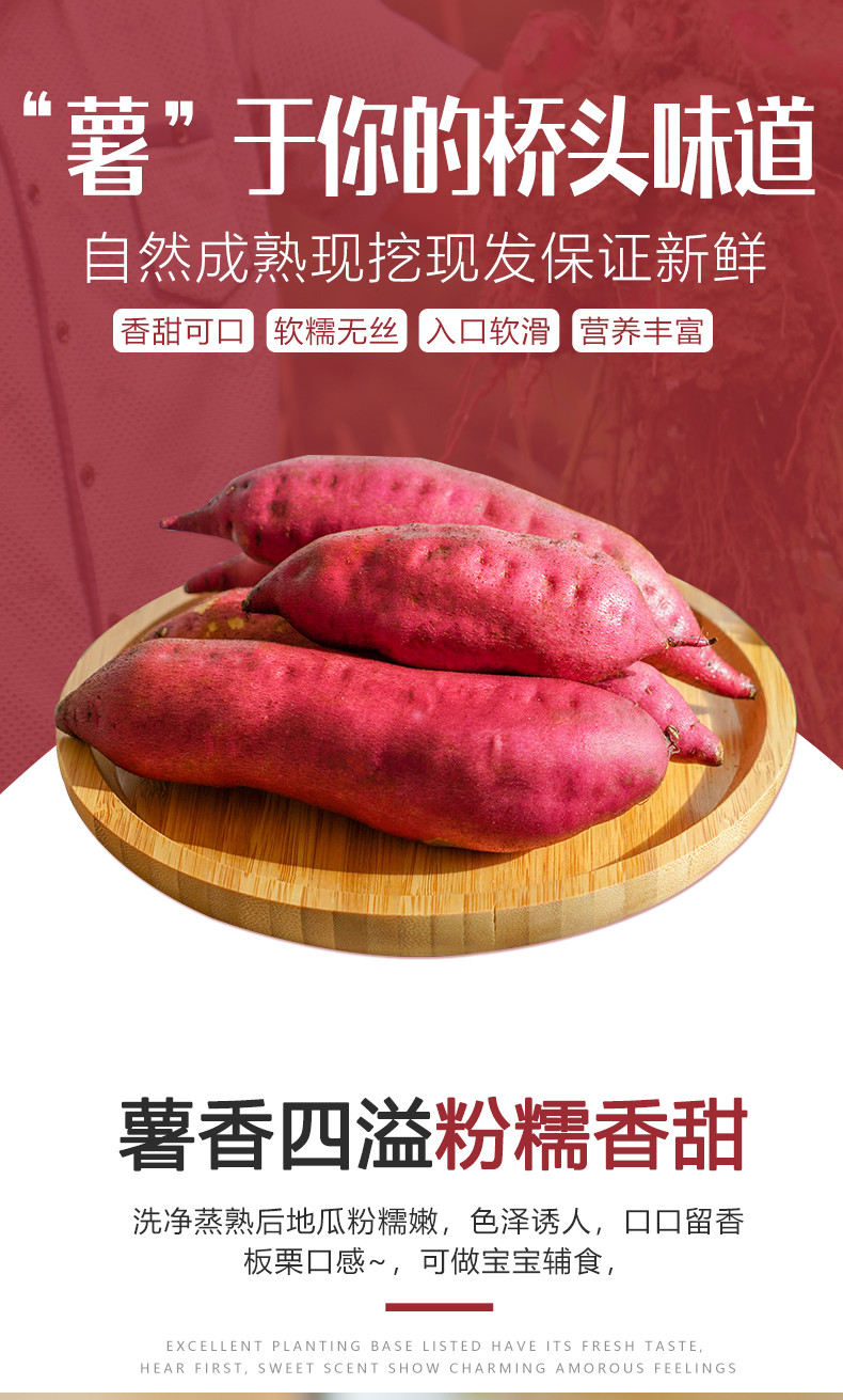  【沙地红薯】地瓜新鲜沙地红薯农家桥沙板栗薯番薯带箱10斤包邮【小度美食】