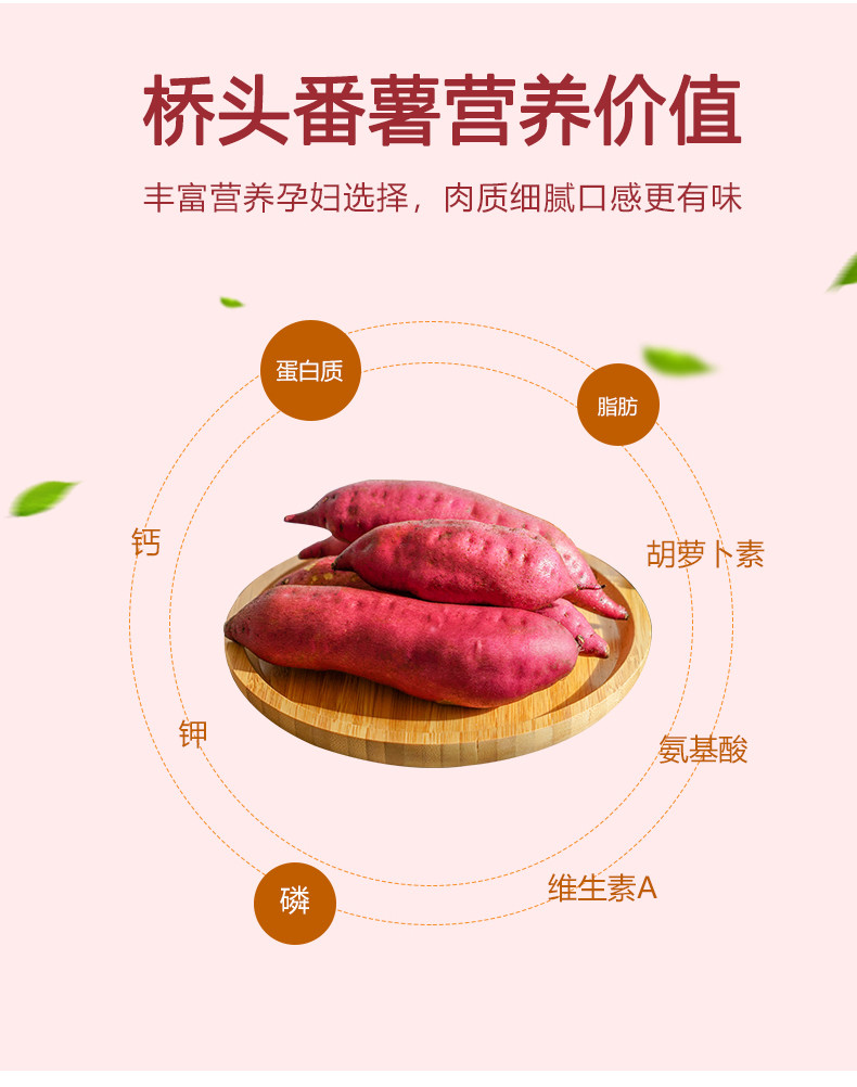  【沙地红薯】地瓜新鲜沙地红薯农家桥沙板栗薯番薯带箱10斤包邮【小度美食】