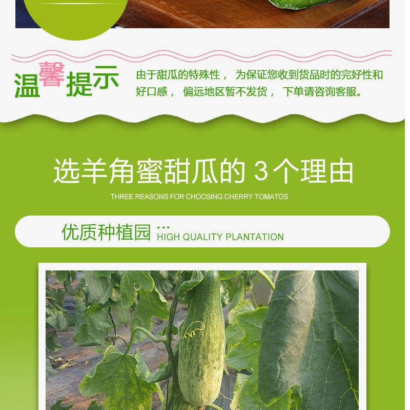 【羊角蜜5斤装】现摘现发新鲜水果应季水果羊角蜜瓜博洋甜瓜孕妇水果【大牛美食】