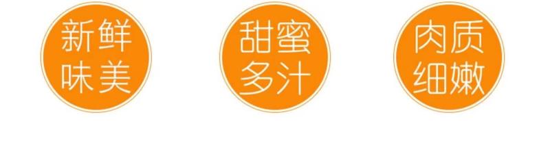 邮政农品 【黑河优选】屈姑秭归伦晚橙