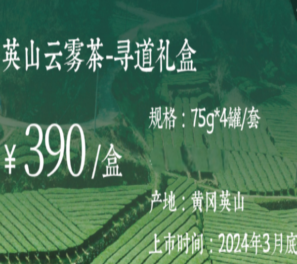 大广 英山云雾茶寻道300g礼盒装