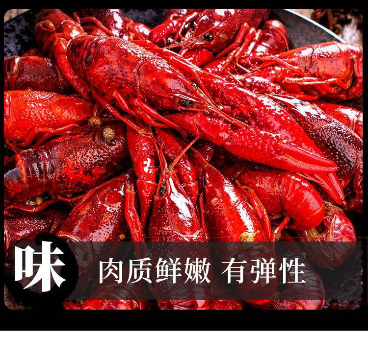 楚虾王  (天门)现烧油焖小龙虾1200g